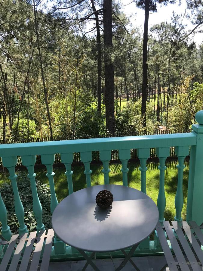 Un Nid Dans La Pinede Villa Lacanau Dış mekan fotoğraf